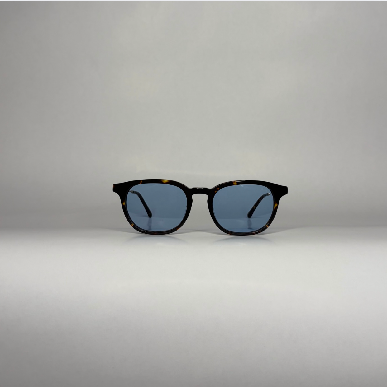 B1 Titan Tortoise/Gold