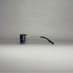 B1 Titan Tortoise/Gold