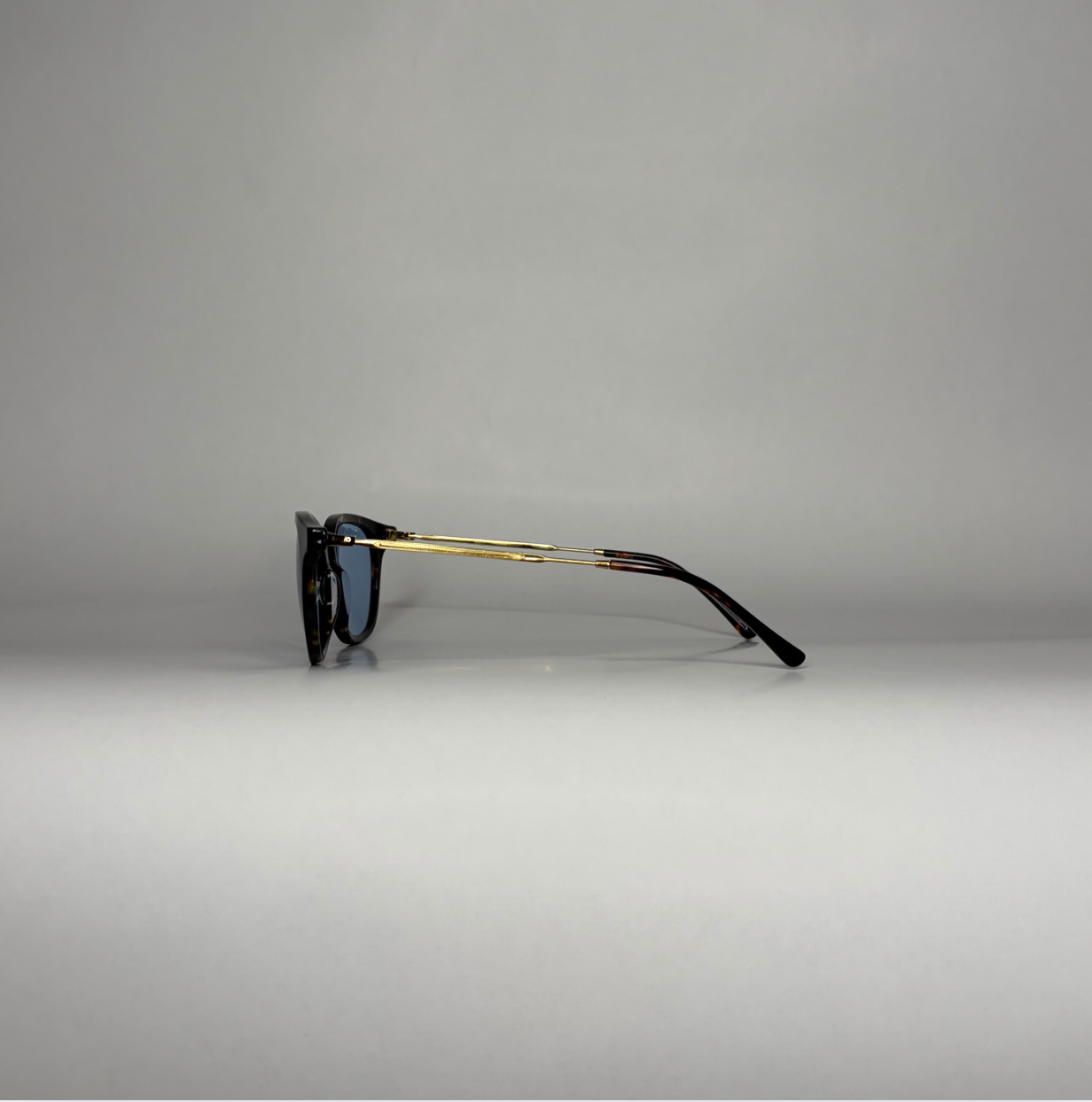 B1 Titan Tortoise/Gold